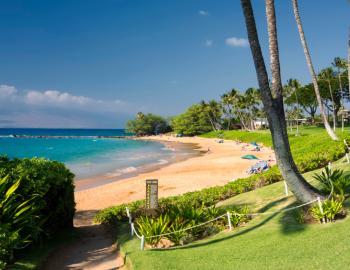 Ulua Beach (WAILEA)